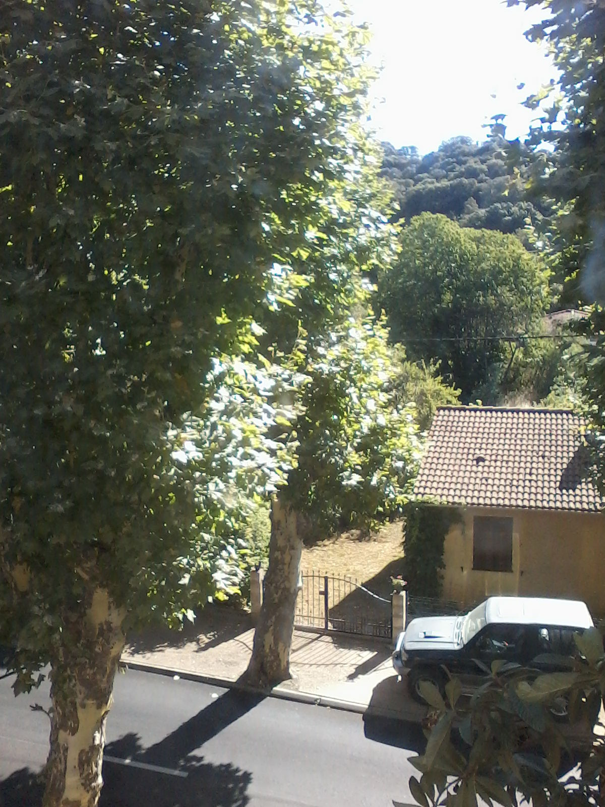 La vue de mon bureau