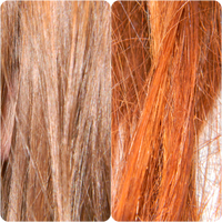 Difference in Hair Color