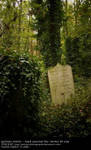 Abney Park Cemetery Stock 2 by Polstar-Stock