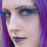 Peacock4