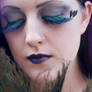 Peacock5