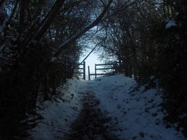 Entrance to winter wonderland