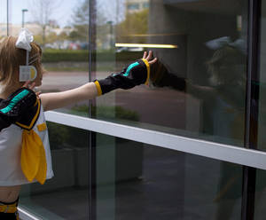 Kagamine Rin: Reflection