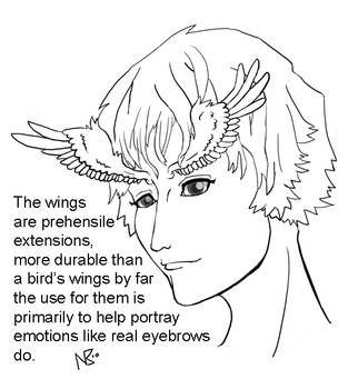 wing brows