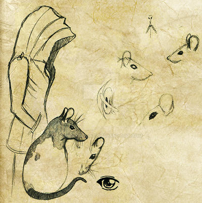 Aw rats! by RonyoBlind on DeviantArt