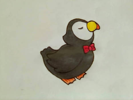 Mr Puffin (colored)