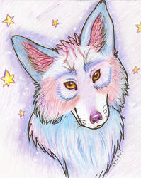 Starry wolf