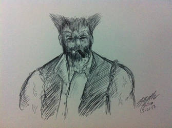 Logan-Wolverine Practicando