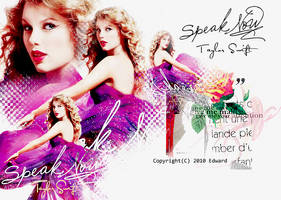 20100819 Taylor Swift