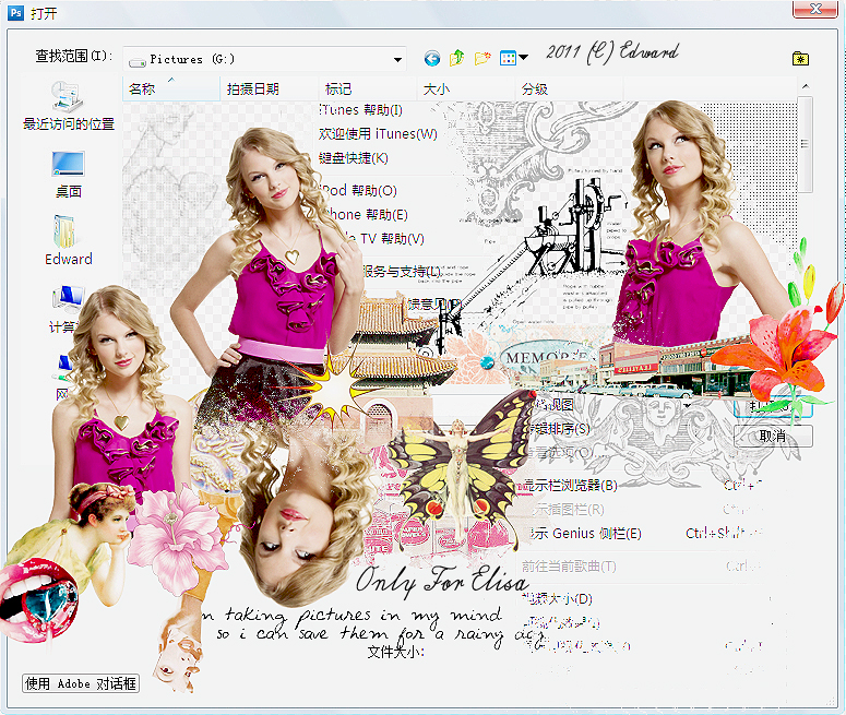 20110213 Taylor Swift