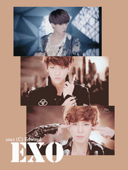 2012.7.6 EXO History