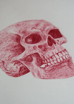 Red Ballpoint Pen Skull