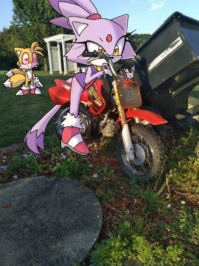 Tailaze 85 by AssassinAndy03 on DeviantArt