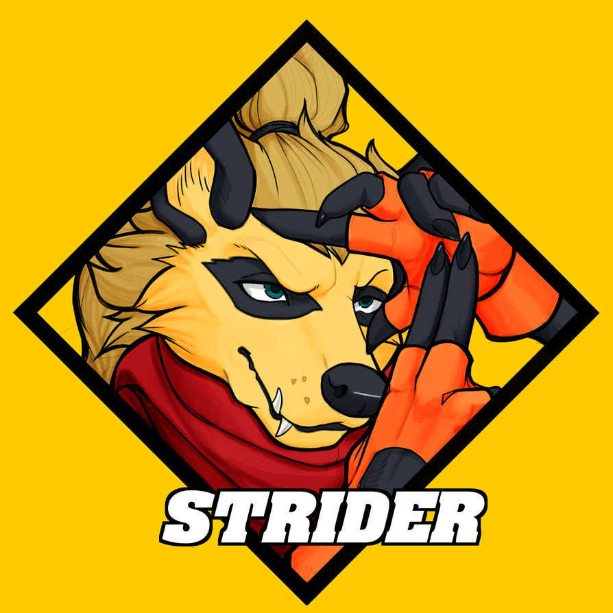 Strider CVS2 badge by MuyMapache on DeviantArt