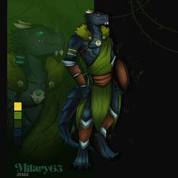 Druid Dragonborn