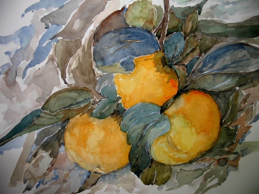 Persimmons