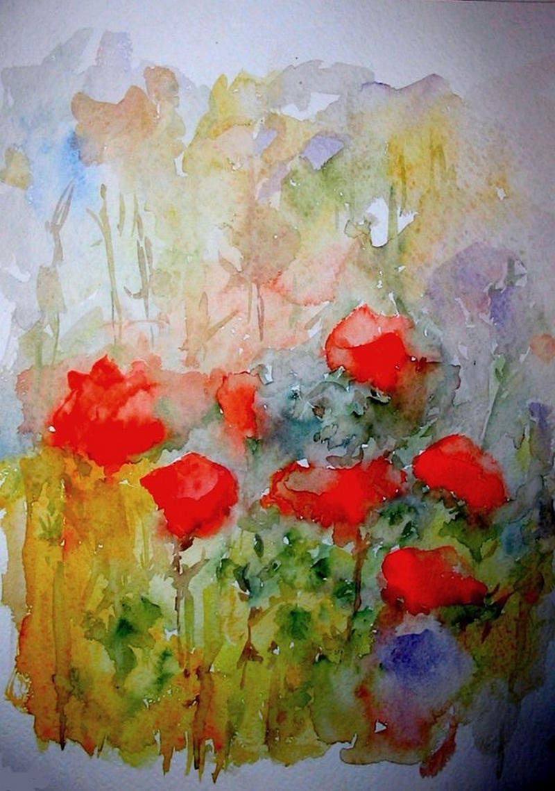 Poppies