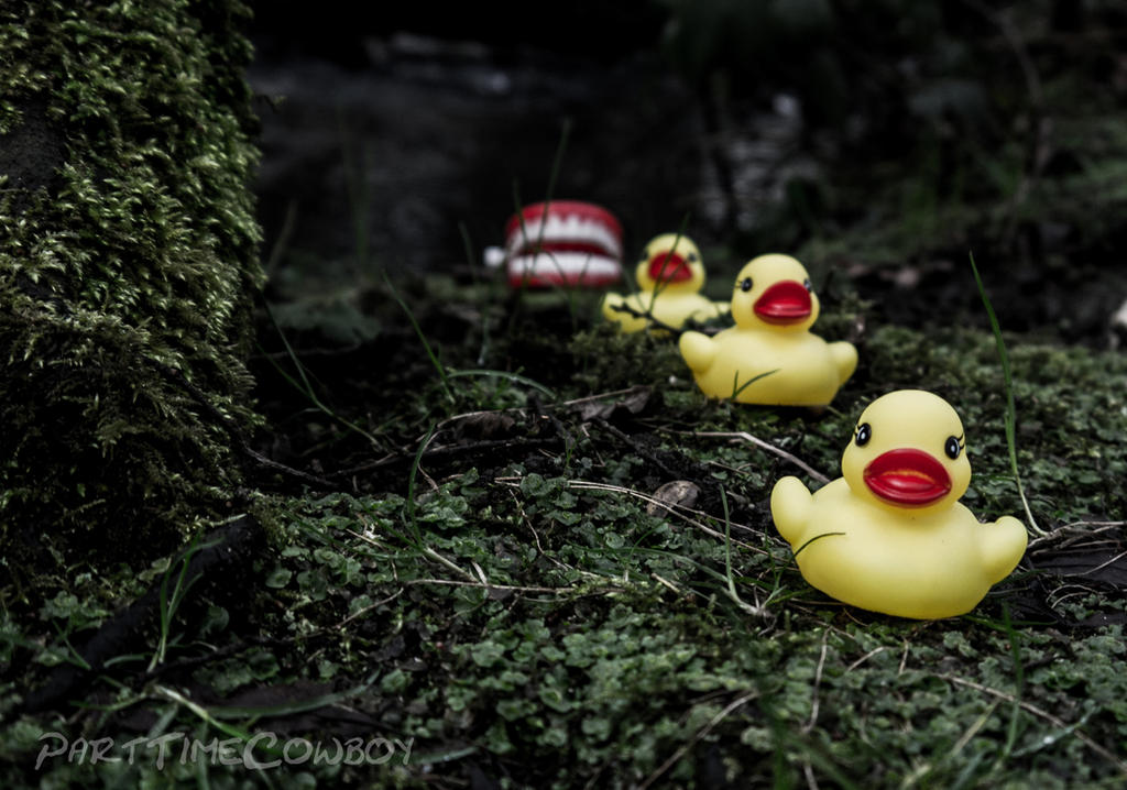Duck, duck, duck... by PartTimeCowboy Duck, duck, duck... by PartTimeCowboy