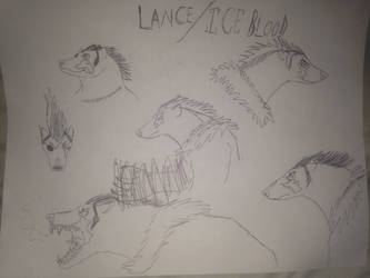 Lance the polar bear