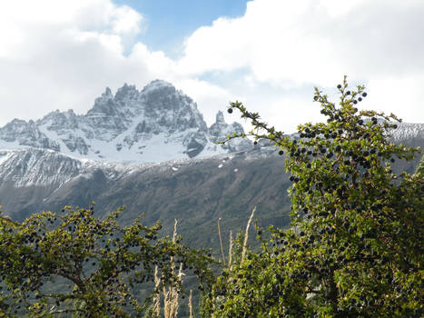 Cerro Castillo