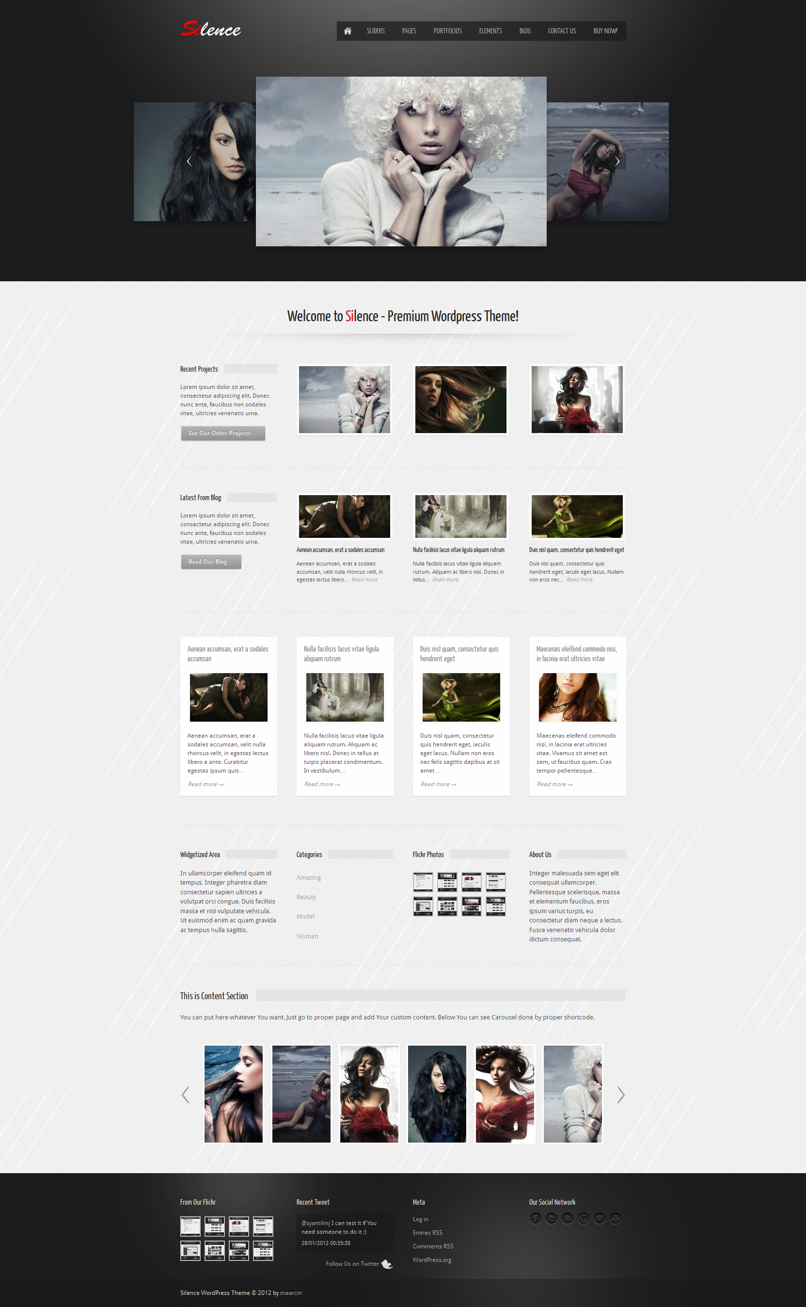 Silence Wordpress Theme - Roundabout Homepage