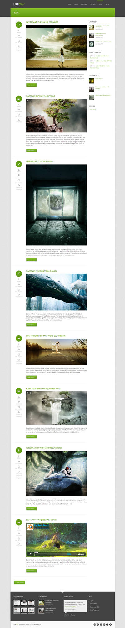 LikeThis WP Theme - Blog