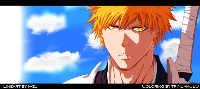 Bleach 613 Ichigo Kurosaki