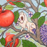 Apple Lilacs