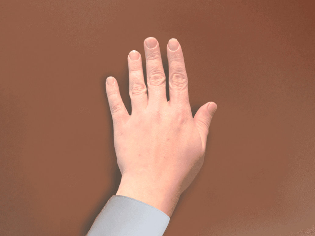 Nora-Hand-Morph-Test-Anim 3 by JustMyStyleArt on DeviantArt