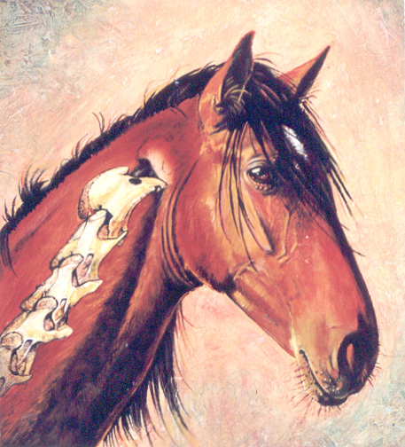 Study of a Horse's Neckbone