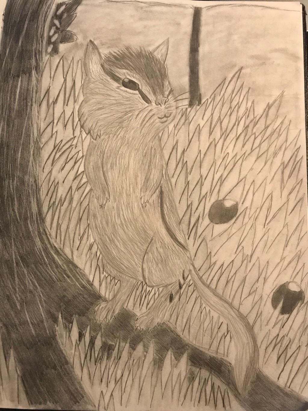 Chipmunk Shadow Little Chipmunk by ShadowsFuri on DeviantArt