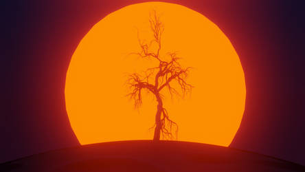 Sun Behind The Tree