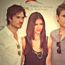 TVD