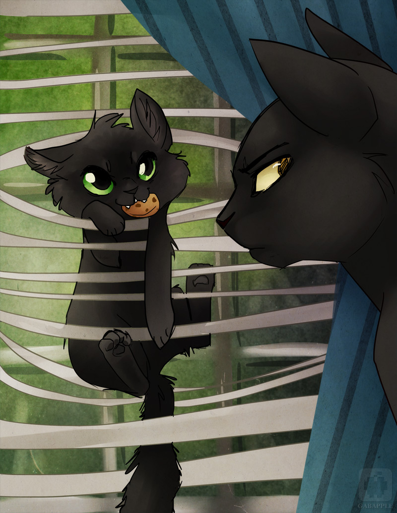 Pushpin and Limerick by gabapple