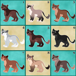 OPEN || Cub Adopt Batch: 2