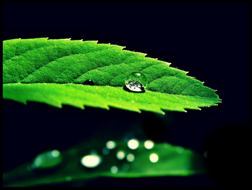 Little Crystal Raindrop By Neahssomnium D2pkzdp-f
