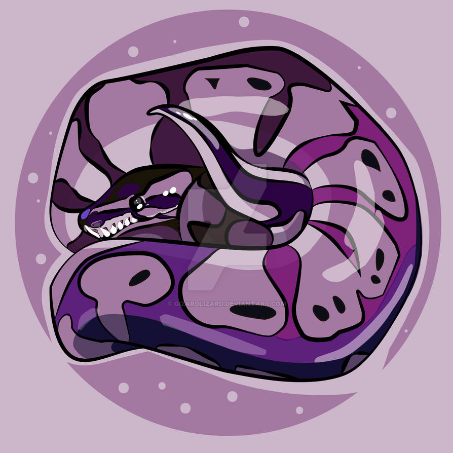 Ball Python by GizardLizard on DeviantArt