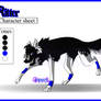 Ritter_Character Sheet_