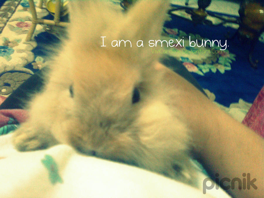 I'm a smexi bunny.