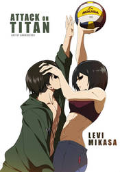 Levi's Mikasa