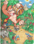 Donkey Kong Country by mattdog1000000