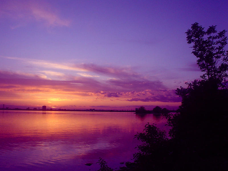 Purple And Pink Sky