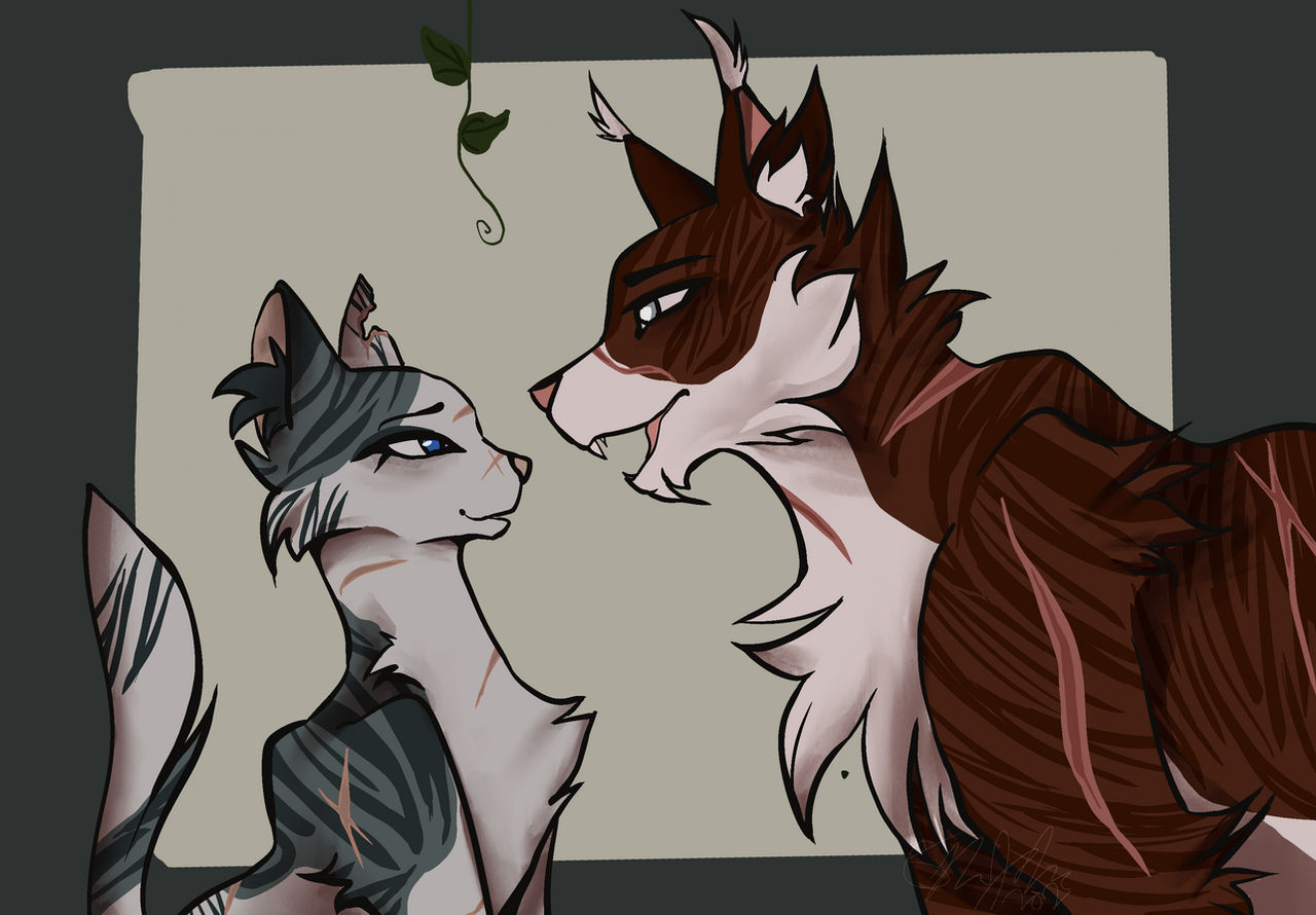 Ivypool Roseshards Ivypool and Hawkfrost AU by livblackbriar on DeviantArt