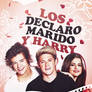 Los Declaro Marido Y Harry // Book Cover