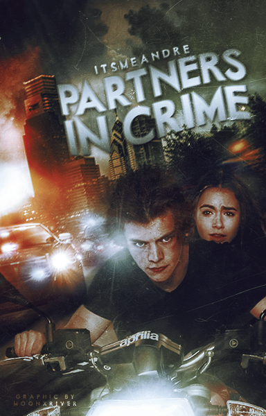 Partners In Crime // Book Cover