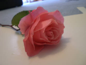 Paper-like rose