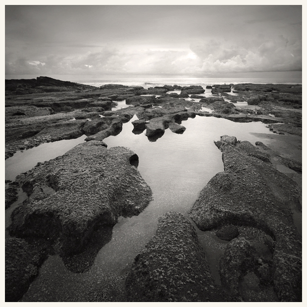 Tidal Pools