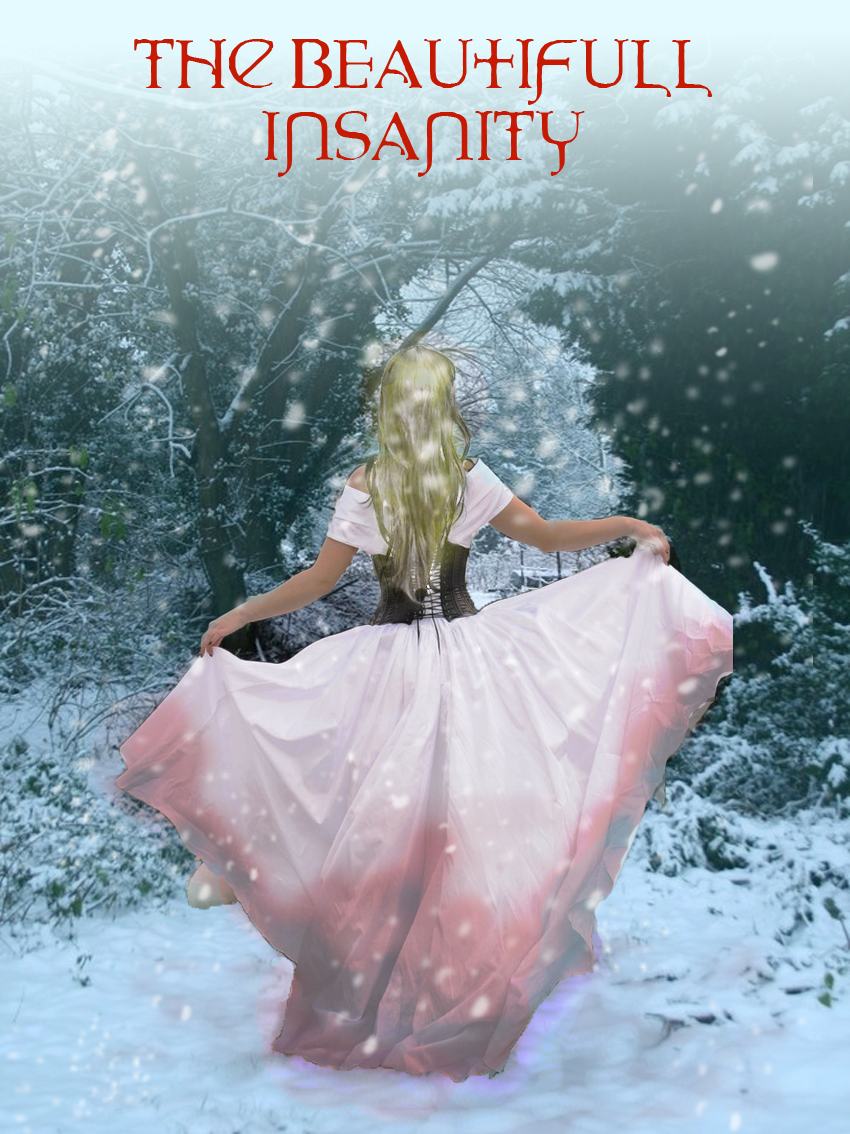 The Beautiful Insanity Book Cover