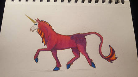 Unicorn Practice