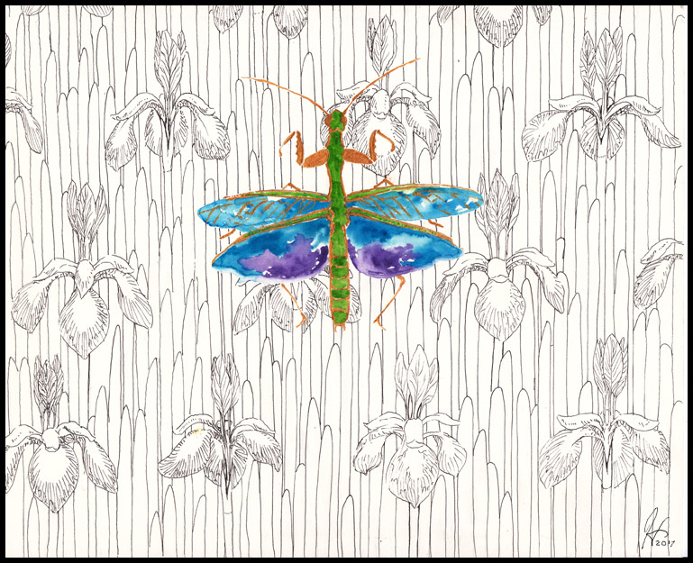Iris Mantis